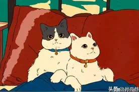 为什么我永远反对动物表演？图片