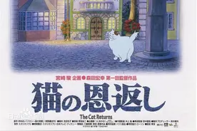 残疾猫被面馆老板娘救活后上演《猫的报恩》：捉13只老鼠“送”主人图片