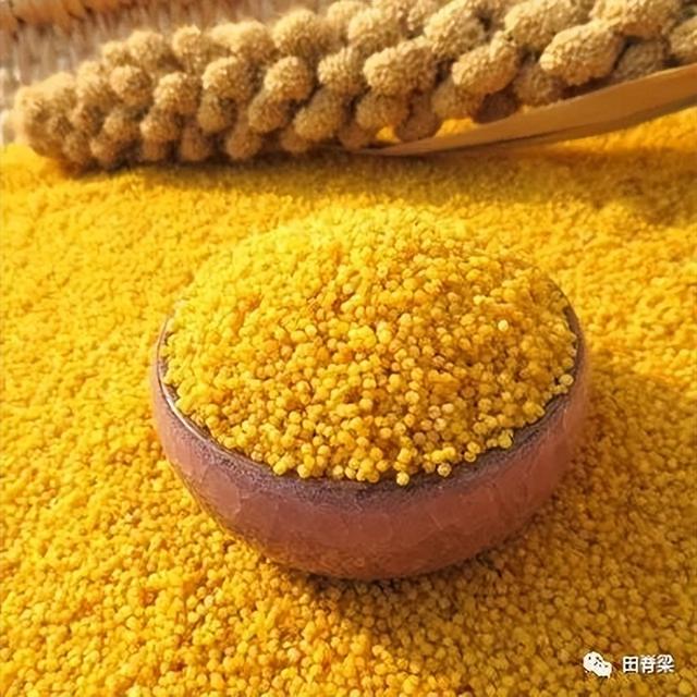 椋熺墿澶氱澶氭牱銆佷富瑕佷负璋风被