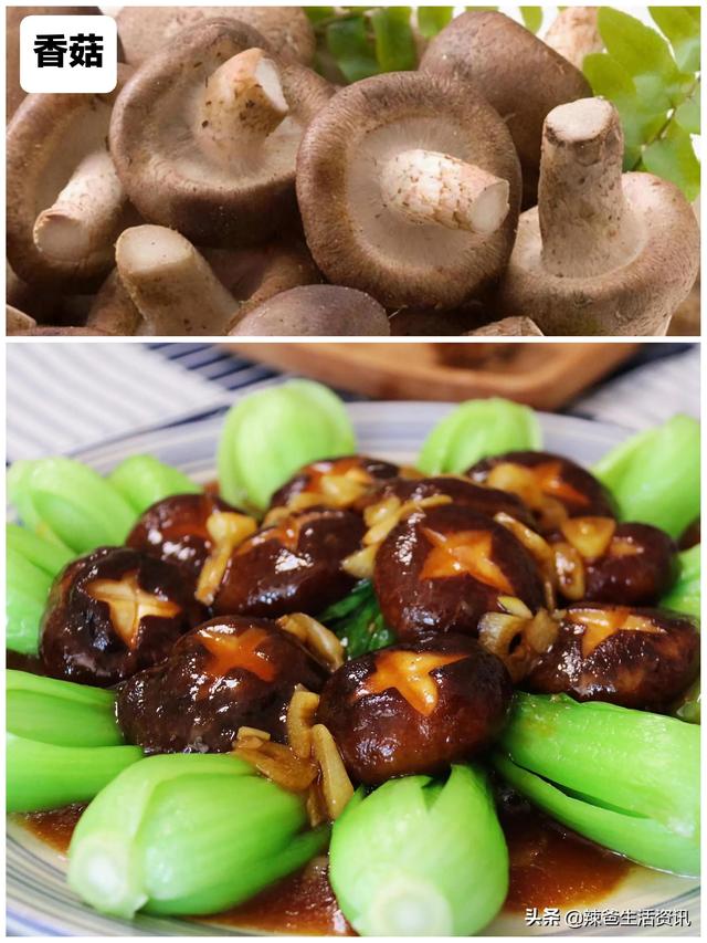12种“常见的蘑菇”，你都吃过吗？附：经典做法，请收藏