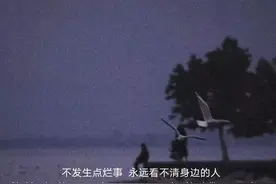 文案:遗憾的事和人明年就别再想起了图片