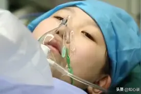 5年前山东8岁女孩不听劝阻，捐骨髓为白血病母亲续命，后来怎样了图片