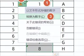 1分钟学会，数值型和文本型数字，早下班图片