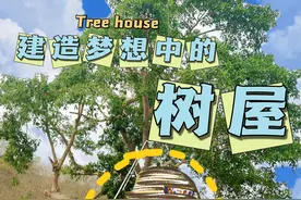 实现儿时的梦想——去树上建树屋！图片