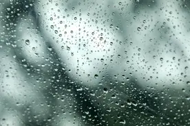 脾虚湿气重，参苓白术丸不行？搭上一个金匮肾气丸，效果惊人！图片