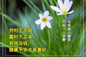 夏日快乐祝福问候动态图片 大家早上好动态表情包图片