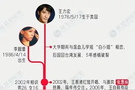 一张图看懂王力宏情史图片