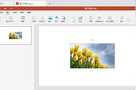 Speedoffice（PPT）如何让图像铺满整页图片