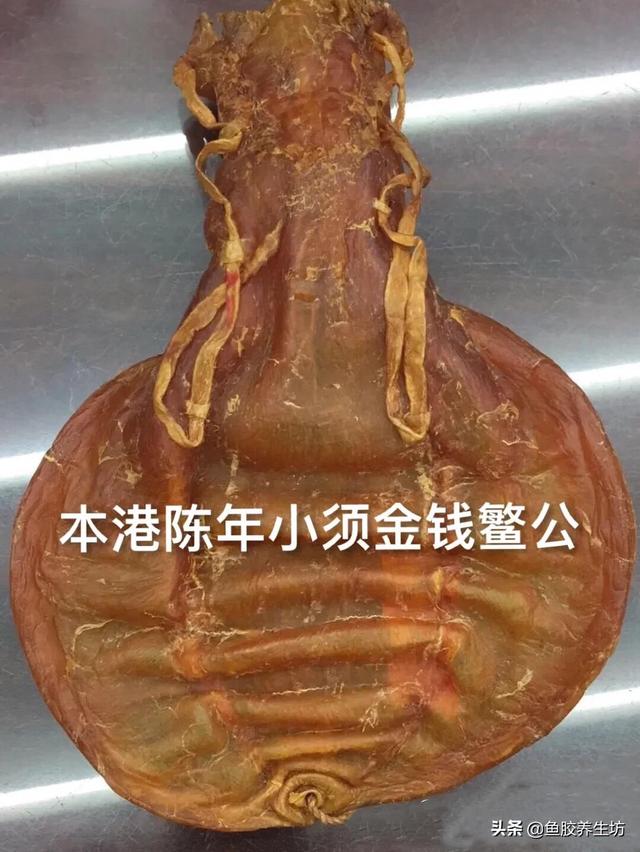 大口鳘鱼胶的功效 2026年大口鱼胶是什么 大口鳘鱼胶的功效 2026年大口鱼胶是什么