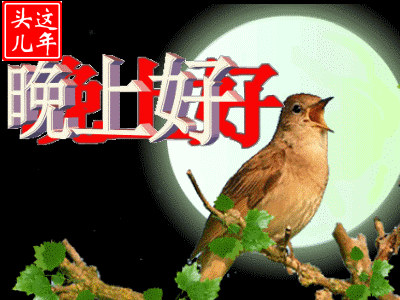 亲爱的朋友周六最精美晚上好表情片,漂亮晚上好表情包大全