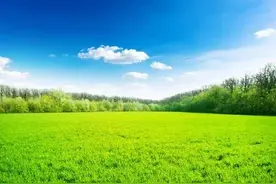 标点符号之九：省略号图片