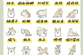 狗狗暖知识丨肢体语言超详解图片