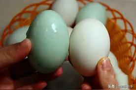 终于明白，青壳鸭蛋和白壳鸭蛋的区别竟这么大！了解清楚，别买错图片