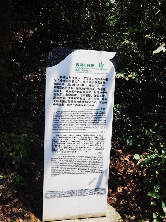 肇庆鼎湖山旅游攻略(广东肇庆鼎湖山简介)