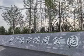 学杨振基杨式太极拳、学陈田良汪传杨式太极拳图片