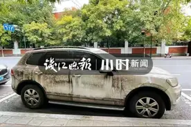 停车两年欠费5万车主：长期在外地图片