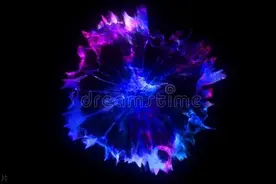 人类与黑猩猩、大猩猩有何本质不同？图片