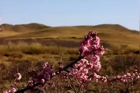 千城胜景｜四季镶黄旗图片