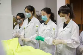 那些捐献解剖的“遗体”，在使用完毕后，它们最终的归宿是什么？图片