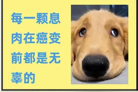 肠息肉不能切，会越切越多？图片