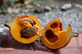 加勒比第三大岛国，多次拒绝中国帮助，咖啡与水果驰名世界图片