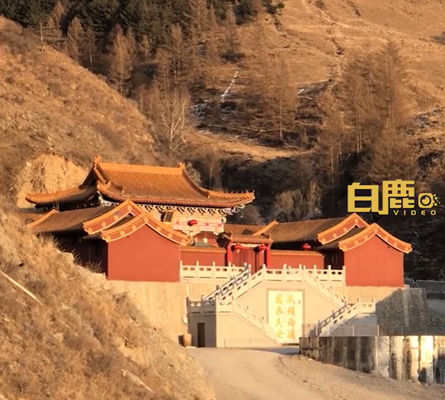 19岁女大学生寒假去寺庙当义工