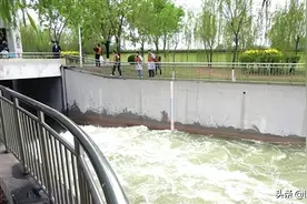 京杭大运河百年来首次全线通水 天津累计向大运河补水30.77亿立方米图片