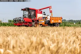 孝义：又是一年麦收季 田间地头一派繁忙图片