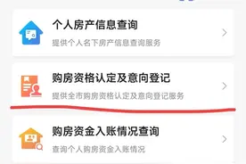 武汉购房资格线上申请指南，网友实测很方便图片