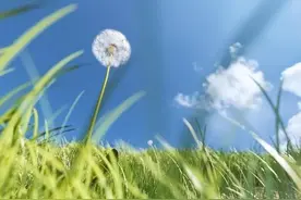 “热不热，就看五月十三”，明日五月十三，这句话啥意思？图片