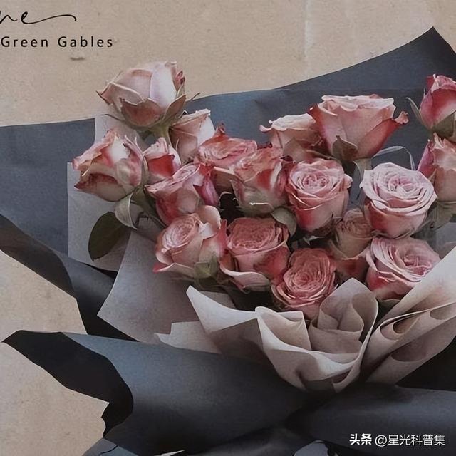 那些一眼万年的香水广告词