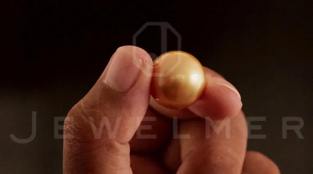 「干货」南洋金珠专题直播精彩集锦,专家教你怎么看南洋珍珠