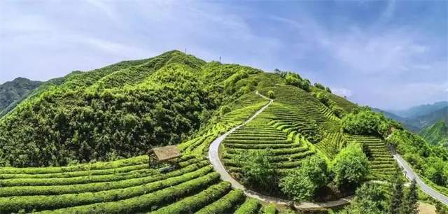 四川省民生研究会新媒体中心-官网