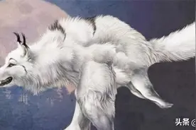 被狼王咬断双腿，终生成为奴隶，狈的一生有多凄惨？图片
