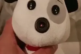 安徽一男子地摊上套中娃娃，仔细一看竟发现摄像头，网友议论纷纷图片