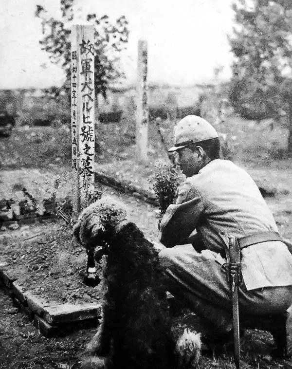 1939年日军“狼狗部队”无人可挡，董翰良猛拍大腿：怎么把它忘了