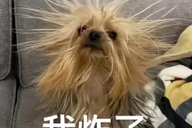 最近广东人状态：我好干...我被电了...原来是“它”在作怪图片