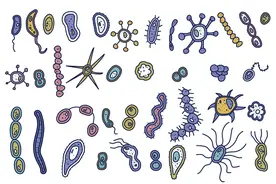 31分Cell子刊两文解析：菌群分子在健康和疾病中的作用图片