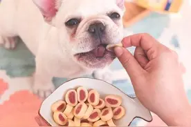 喂食狗狗8大误区，你可曾中招过，小心毁了它！图片