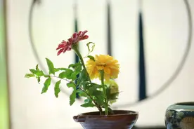 男人动情后，才用这种语气和你聊天图片