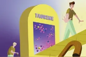 牛磺酸或为动物健康长寿关键图片