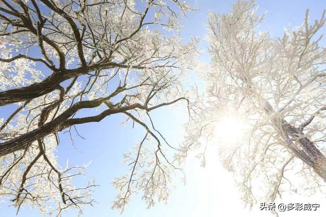 贵州威宁：雾凇覆高原 仙境入画来