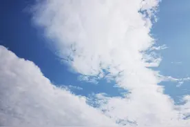 工作干不下去的征兆图片