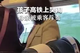 孩子高铁上哭闹 母亲被乘客斥责图片