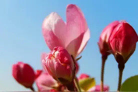 “如此”暗示你的人，多半是在向你表白，没人提醒你也要懂图片