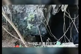 广西河池 4人探险被困300米深洞穴，消防历时12小时成功救回图片