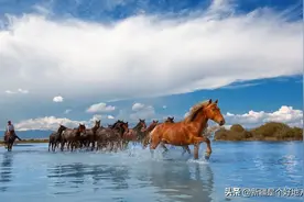 7月16日，昭苏天马节等你来！图片