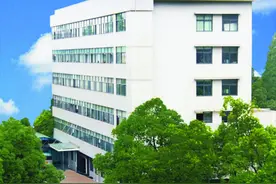 新的一年，重新认识一下我们吧图片