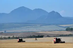 “欧洲粮仓”沦为战场，俄乌冲突会给全球粮食安全带来怎样的冲击？图片