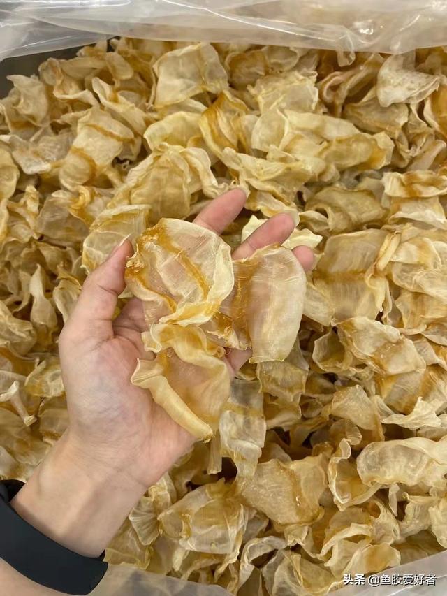 怎么吃白花胶对子宫内膜好 白花胶对卵巢的作用